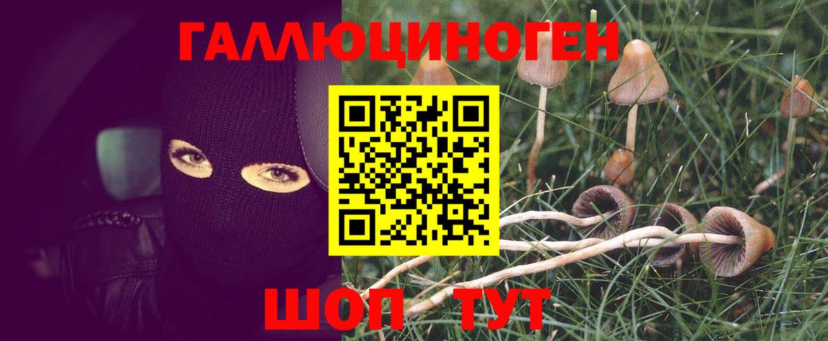 Псилоцибиновые грибы ЛСД  Вход с VPN  Псилоцибиновые грибы Psilocybe  Приморско-Ахтарск 