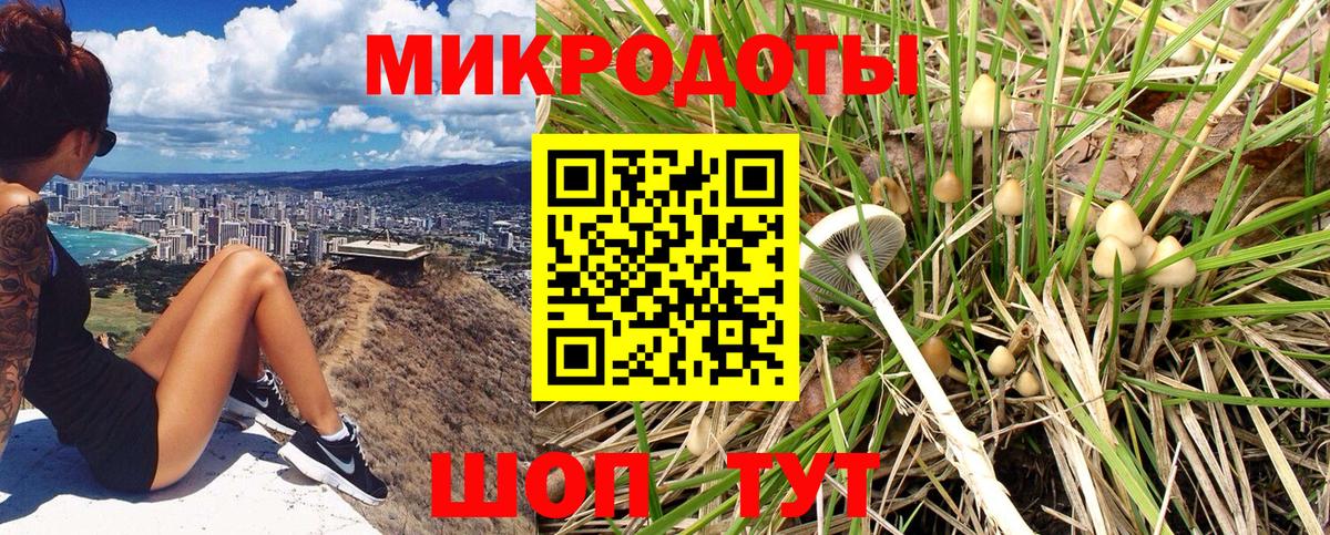 Галлюциногенные грибы ЛСД  даркнет сайт  Приморско-Ахтарск 