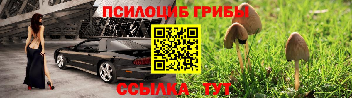 Псилоцибиновые грибы Psilocybine cubensis Приморско-Ахтарск