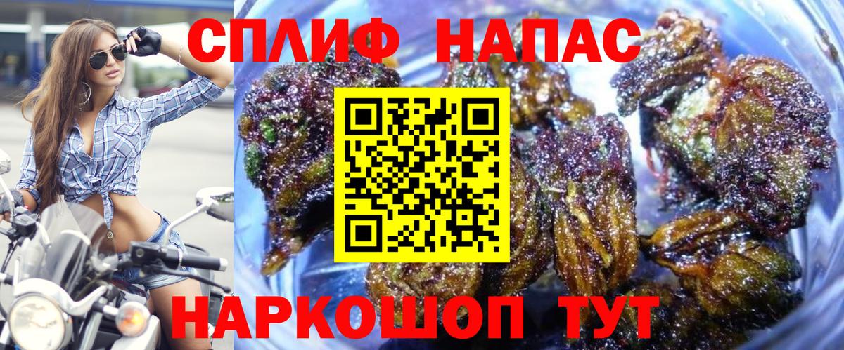 Каннабис MAZAR  Вход с VPN  Каннабис MAZAR  Приморско-Ахтарск  МАРИХУАНА семена 